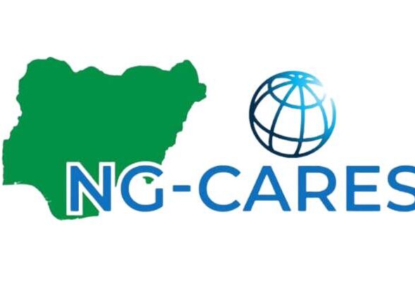 NG-CARES Portal Login 2023 Best NG-CARES Portal Info