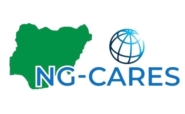 NG-CARES Portal Login 2023 Best NG-CARES Portal Info